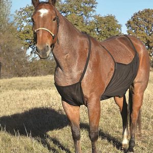 Bande de protection en maille pour ventre de cheval, réglable pour une utilisation en extérieur, en forme de U, en polyester, fournitures d'équipement équestre - Product Image 1