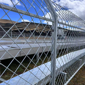 Nhà máy cung cấp trực tiếp bột tráng kim loại đôi que Mat lưới zaun hàng rào song phương hàng rào dây lưới Hàn lưới cho hàng rào trang trại - Product Image 6