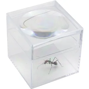 Caixa de acrílico para visualização de bug cúbico, 30*30*25mm transparente de espécie fóssil, recipiente de vidro de aumento