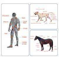 Dispositivo Láser Frío de Alta Potencia para Escritorio con 4 Cabezales de Tratamiento para el Dolor de Espalda y Lesiones de Columna Vertebral en Perros