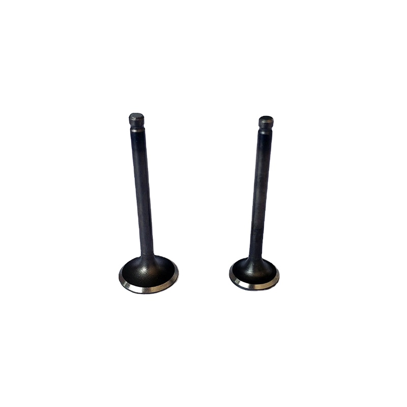 Впускные и выхлопные клапаны C100, детали двигателя для 100 куб. См, запасные части мотоцикла