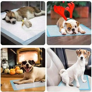 Puppy Toilet Training Pad Waterproof Leak-proof Pee Pad For Pet Potty <b>Cats</b> Rabbits - Product Image 6
