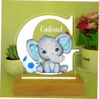 Drop Shipping Lampe de nom 3D personnalisée avec photo Veilleuse de nom LED en acrylique personnalisée