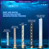 Jercio 12V XT1901s / WS2811 o UCS1903 Bar/KTV Project Breakpoint Programación de transmisión continua RGB Tira de luz LED