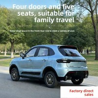 Véhicule électrique à énergie nouvelle modèle 2026 avec climatisation, véhicule électrique à basse vitesse pour adultes à usage domestique