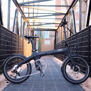 จักรยานไฟฟ้า36V พับ E-Bike จักรยานคาร์บอนไฟเบอร์พับได้20นิ้วแบตเตอรี่ลิเธียมที่มีน้ำหนักเบามากเมืองจักรยานไฟฟ้า250W