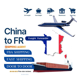 货运代理海运代理从中国进口到法国美国英国德国Ddp门到门Fba货运服务 - Product Image 5