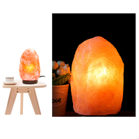 Vente en gros de lampe au sel rose naturel de la pleine lune de l'Himalaya de la meilleure qualité avec socle en bois
