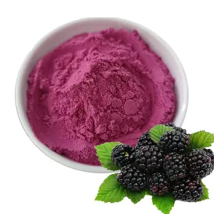 Food Grade Natural Mulberry Extract Organic Mulberry Fruit Juice Powder