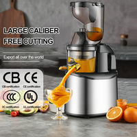LGO 220V Multifunctionele professionele slowjuicer van roestvrij staal voor juicebars