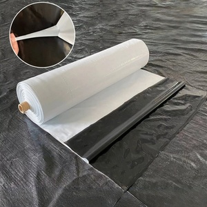 Film de serre Panda noir et blanc réfléchissant en HDPE, résistant aux intempéries, <span class=keywords><strong>200</strong></span> <span class=keywords><strong>microns</strong></span>, robuste, pour serres multi-spans - Product Image 5