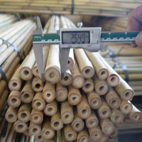 Tongkat Bambu Antiseptik Warna Kuning Muda 213cm 22-24mm untuk Penyangga Bunga & Tanaman di Kebun