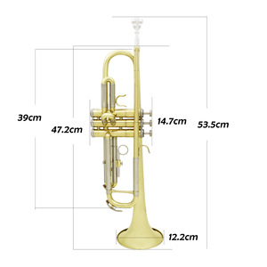 <span class=keywords><strong>Trompeta</strong></span> Bb de Western Wind Instruments <span class=keywords><strong>para</strong></span> Principiantes, <span class=keywords><strong>para</strong></span> Enseñanza de Orquesta y Pruebas - Product Image 3