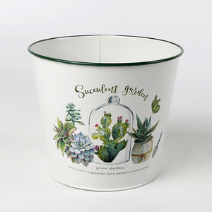 Usine vente directe blanc <span class=keywords><strong>Cactus</strong></span> élément métal Pot de fleur succulente planteur nouveau Style rond conteneur emballage/emballage cadeau - Product Image 3