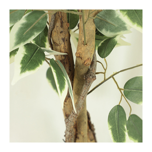 Arbre ficus artificiel en plastique à vente chaude avec des bords blancs, plante de haute qualité, décorations pour la maison - Product Image 5