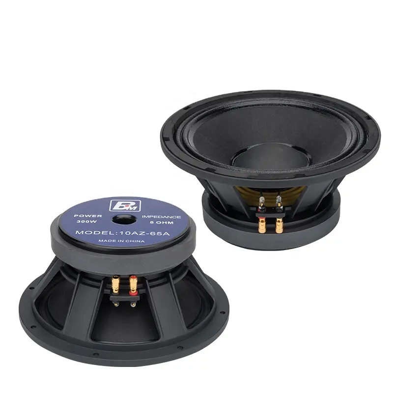 10 inch full range speaker 500W 8ohm dj subwoofer speaker driver