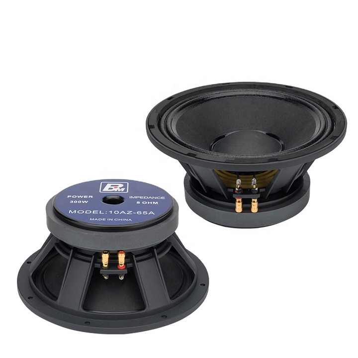 Midrange Speakers 10MB800FT Pro 10