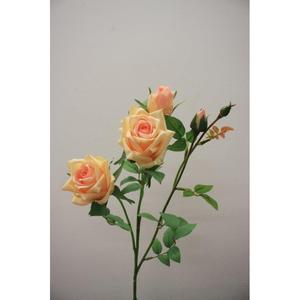 ROSA SPRAY X4 65CM SA - Product Image 1