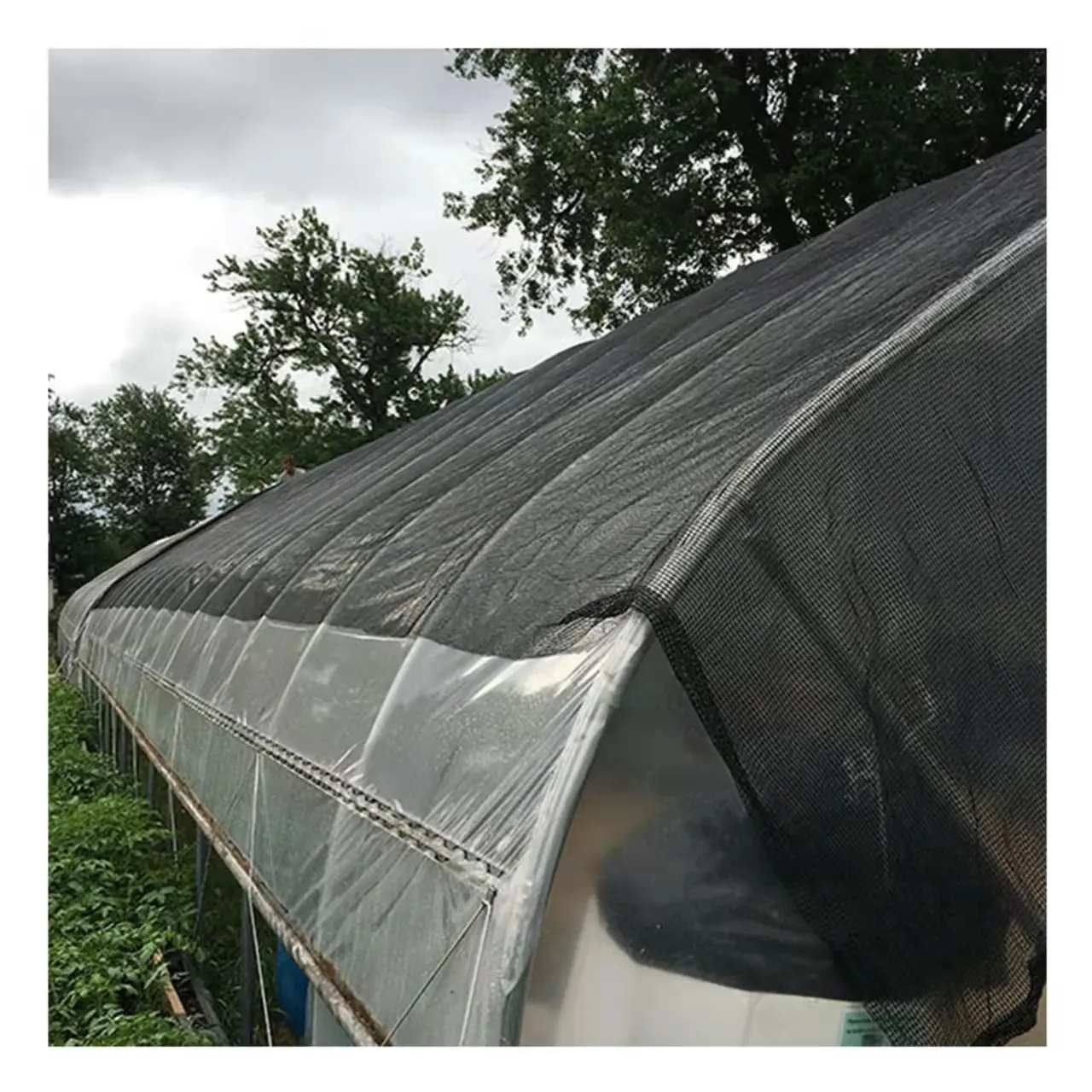 مخصصة الزراعية الأخضر مصدات الرياح المعاوضة متعددة وظيفة شبكة تظليل البيت الأخضر سقف شبكة تظليل