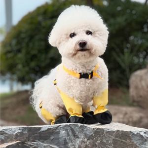 รองเท้าบูทกันฝนสำหรับสุนัขกลางแจ้งมาใหม่กันน้ำกันลื่นรองเท้าบูทสัตว์เลี้ยงกันสิ่งสกปรกสำหรับทุกฤดูกาล - Product Image 5