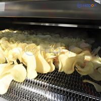 Équipement de fabrication de chips et de flocons de patate douce et de manioc électriques, machine de séchage de frites, machine de fabrication de chips de pommes de terre