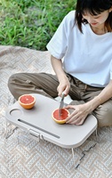 Ensemble de paniers de pique-nique HISPEED, pliables, portables, en plastique PP, 20-35L, boîte de cuisine multifonction avec poignée souple