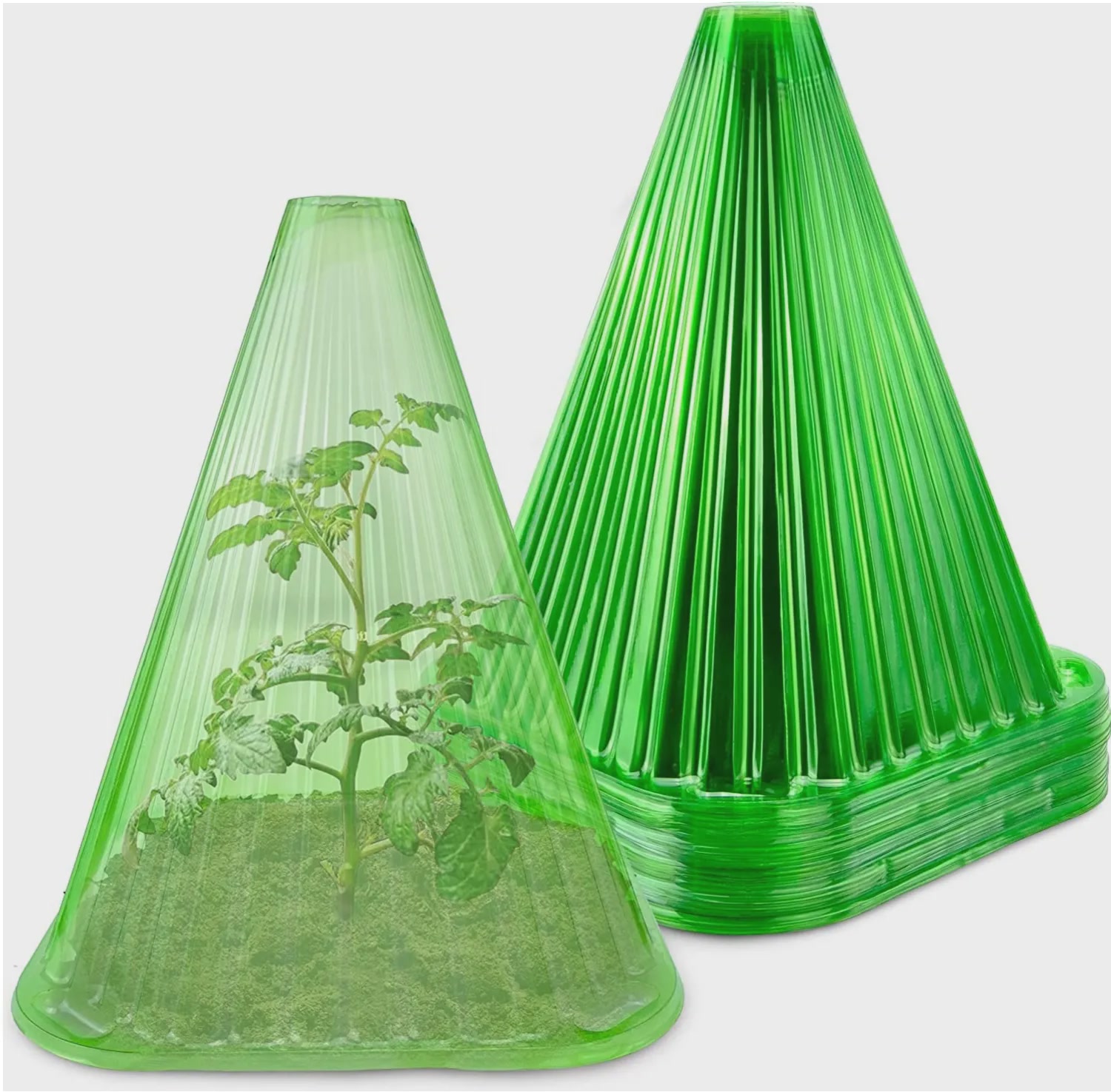 6PCS Reusable Garden Plant Cloche Plastic Dome Protective