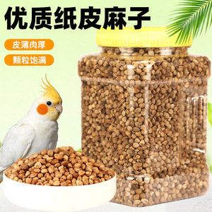Nourriture pour perroquets en papier, granulés gros calibre, pour conures solaires et perruches, format économique, contenant en plastique durable - Product Image 1