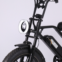 OEM ODM Vélo électrique à gros pneus 20 pouces 500W 800W Vélo électrique 48V E Bike Adultes Dirt Mountain E-bike Loisirs Offroad Hybrid