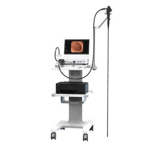 LHWVHP1315オールインワン多機能獣医内視鏡システム屋内屋外シーン獣医内視鏡イメージプロセッサー - Product Image 5