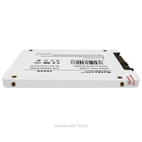 SSD Goldenfir 120GB 128GB SATA III 6Gb/s 2.5 Pollici Disco SSD Interno