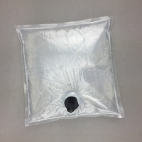 Sacs d'emballage de vin rouge en aluminium dans des boîtes pour le stockage des aliments Pochettes à bec verseur Jus de vin Alcool Pochette laminée Valve Container