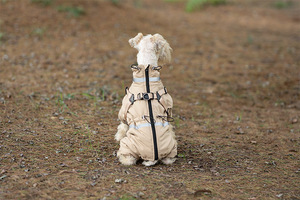 Luxury Dog Clothes With <strong>Harness</strong> Coat Warm <strong>Designer</strong> Pet Clothing Dog Clothes Luxury Fash for Small <strong>Puppy</strong> Medium - Product Image 3