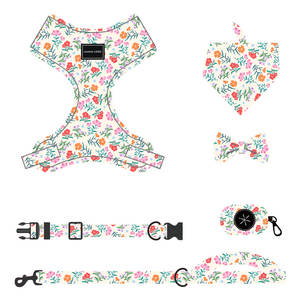 Collares y Correas para Perros de Poliéster con Diseño de Dibujos Animados, Venta al Por Mayor 2025, Impresión de Logotipo Personalizado, Juego Personalizado - Product Image 5