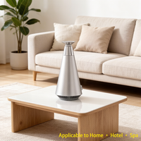 Diffuseur de Parfum Maison, Machine à Diffuser les Arômes, Diffuseur d'Huiles Essentielles, Nébuliseur