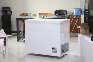 <span class=keywords><strong>Mini</strong></span>-<span class=keywords><strong>congélateur</strong></span> à température unique 150L Réfrigérateur horizontal <span class=keywords><strong>silencieux</strong></span> avec refroidissement direct-35 ℃ <span class=keywords><strong>Mini</strong></span>-<span class=keywords><strong>congélateur</strong></span> - Product Image 2