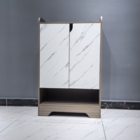 Meuble à chaussures métallique double porte multi-niveaux au design moderne pour l'entrée du salon