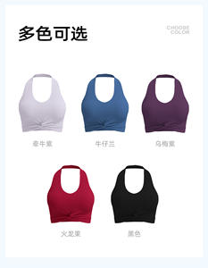 Nouveau Soutien-gorge de sport pour femme grande taille, dos halter, col en V, avec coussinets amovibles, en nylon double face, très extensible et respirant, style débardeur - Product Image 3