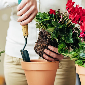 Terreau en poudre pour plantes vertes <span class=keywords><strong>fleurs</strong></span> succulentes pour la plantation et l'élevage de semis - Product Image 4