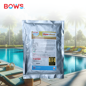 Sac en gros de 1kg de produits chimiques d'équilibrage de l'eau de <span class=keywords><strong>poudre</strong></span> d'ozone pour l'agent auxiliaire de piscines - Product Image 2