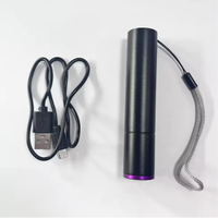 Lampe torche UV 3W 365nm rechargeable USB-C avec filtre noir UV, détecteur de taches sèches d'urine d'animaux