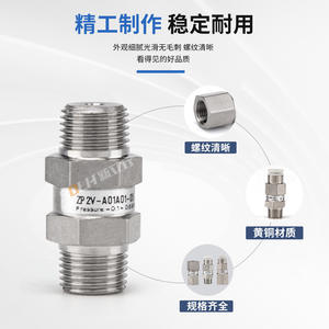 Válvula de Control de Succión al Vacío Lógica ZP2V-A5/A8/B5/B6-03-05-07-10, Válvula de Seguridad, Válvula de Retención Unidireccional - Product Image 2