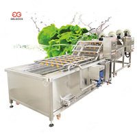 Gelgoog Groente Verwerking Machine Sla Wassen Lijn Fruit Tomaten Wassen Lijn