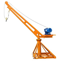 Construction domestique Offre Spéciale bâtiment 1000kg Mini singe ascenseur petite grue de levage