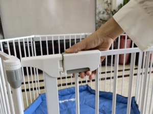 Box pieghevole multifunzione per cani e gatti cancello per cani da compagnia sicuro per interni - Product Image 4