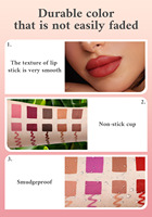 Set de Maquillaje Labial Mate Personalizable MLM, Resistente al Agua, de Larga Duración, Alta Pigmentación, Libre de Crueldad Animal, Kit Combinado de Cosméticos Labiales