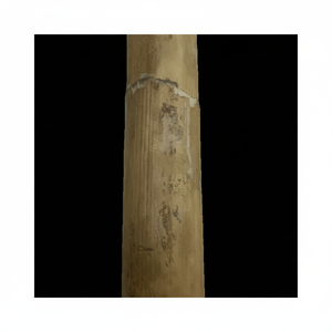 ราคาขายส่ง ไม้หวายดิบ/ไม้ไผ่ สำหรับตกแต่ง - Product Image 1