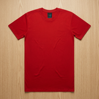 T-shirts unisexes en coton 100 % personnalisés en gros SHH Apparel 2025 – Broderie chenille, imprimé bicolore rouge, couleurs vives délavées