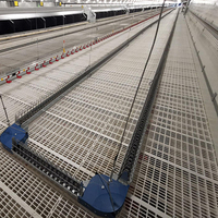 Système d'alimentation en chaîne pour poulets à haute efficacité, équipement intelligent de transport uniforme des aliments pour les élevages avicoles