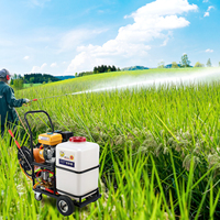Pulvérisateur à essence de 60 litres pour l'agriculture, chariot à poussoirs de jardin, pulvérisateur à essence avec roues